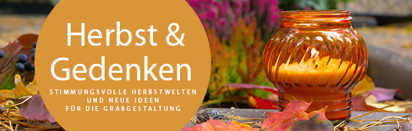 Bannerbild Mobil